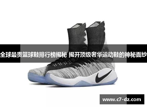 全球最贵篮球鞋排行榜揭秘 揭开顶级奢华运动鞋的神秘面纱 全球最贵篮球鞋排行榜揭秘 揭开顶级奢华运动鞋的神秘面纱
