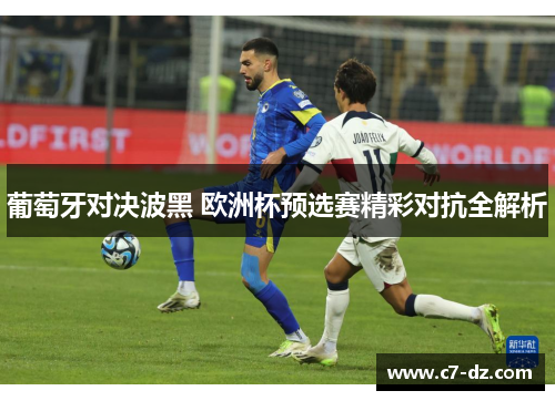 葡萄牙对决波黑 欧洲杯预选赛精彩对抗全解析